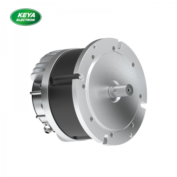 时博（中国）215系列48V 4000W 1500RPM